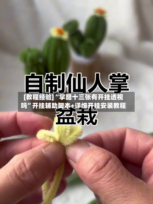 [教程经验]“掌酷十三张有开挂透视吗”开挂辅助脚本+详细开挂安装教程-第1张图片