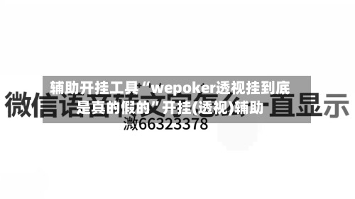 辅助开挂工具“wepoker透视挂到底是真的假的”开挂(透视)辅助-第1张图片