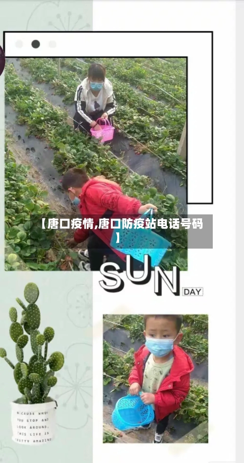 【唐口疫情,唐口防疫站电话号码】-第1张图片