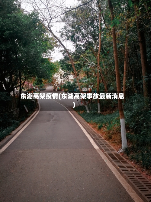 东湖高架疫情(东湖高架事故最新消息)-第1张图片
