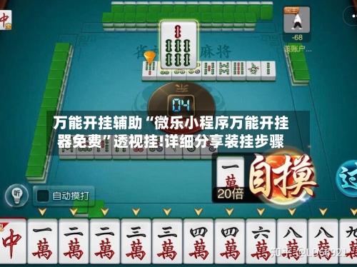 万能开挂辅助“微乐小程序万能开挂器免费”透视挂!详细分享装挂步骤-第3张图片