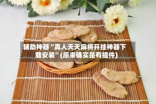 辅助神器“真人天天麻将开挂神器下载安装	”(原来确实是有插件)-第1张图片