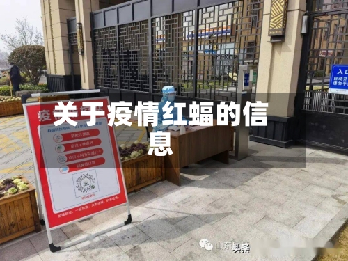 关于疫情红蝠的信息-第1张图片