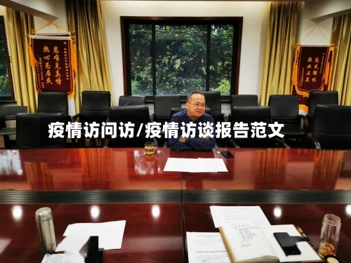 疫情访问访/疫情访谈报告范文-第1张图片