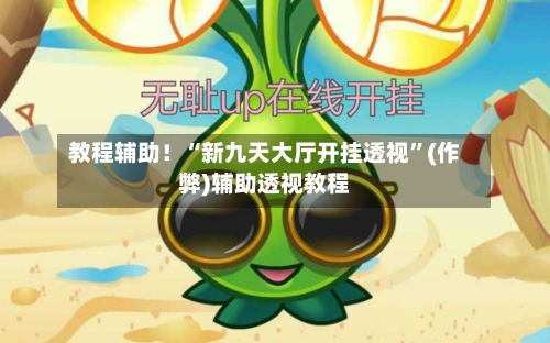 教程辅助！“新九天大厅开挂透视”(作弊)辅助透视教程-第1张图片
