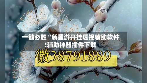 一键必胜“新星游开挂透视辅助软件!辅助神器插件下载-第1张图片