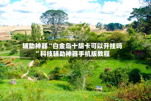 辅助神器“白金岛十胡卡可以开挂吗	”科技辅助神器手机版教程-第1张图片