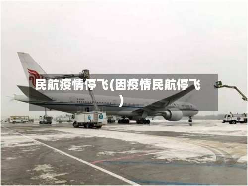 民航疫情停飞(因疫情民航停飞)-第1张图片