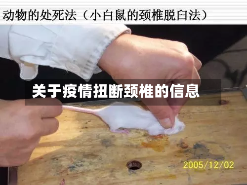 关于疫情扭断颈椎的信息