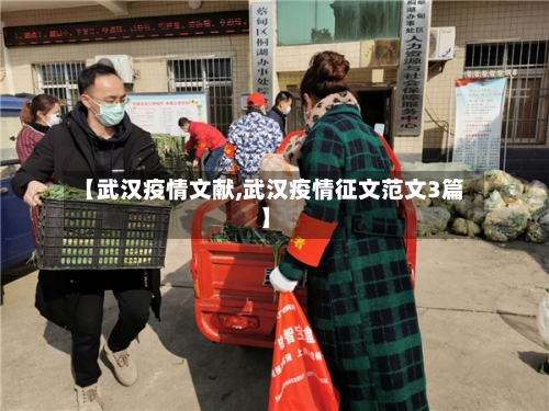 【武汉疫情文献,武汉疫情征文范文3篇】-第2张图片