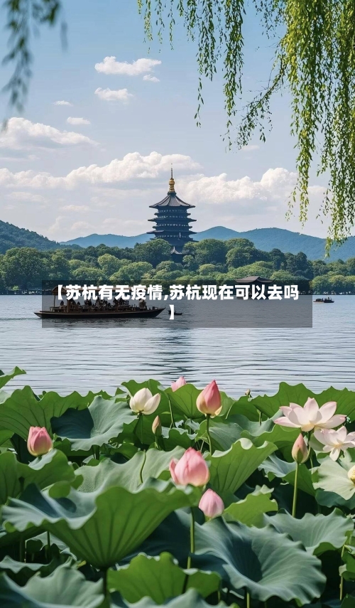 【苏杭有无疫情,苏杭现在可以去吗】