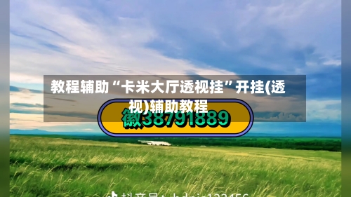 教程辅助“卡米大厅透视挂”开挂(透视)辅助教程-第1张图片