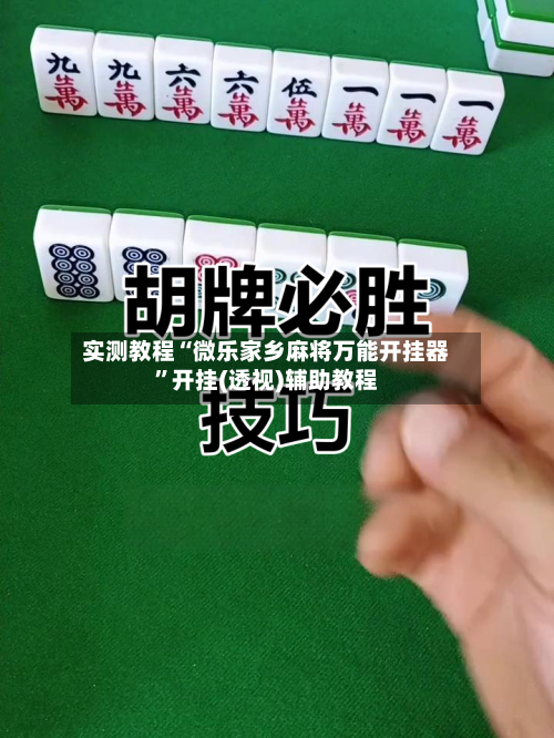 实测教程“微乐家乡麻将万能开挂器”开挂(透视)辅助教程-第2张图片