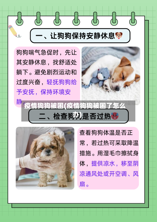 疫情狗狗被困(疫情狗狗被困了怎么办)-第1张图片