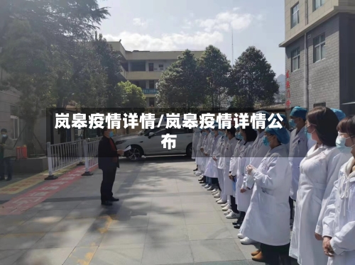 岚皋疫情详情/岚皋疫情详情公布
