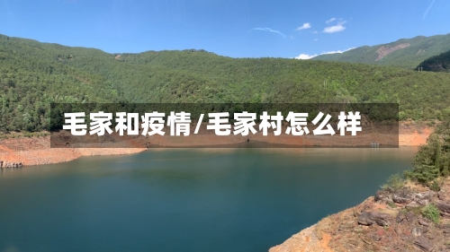 毛家和疫情/毛家村怎么样