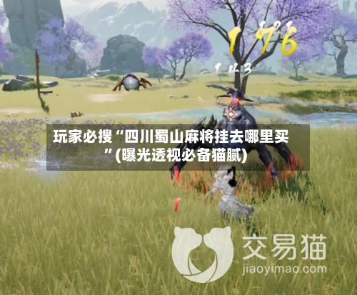 玩家必搜“四川蜀山麻将挂去哪里买”(曝光透视必备猫腻)