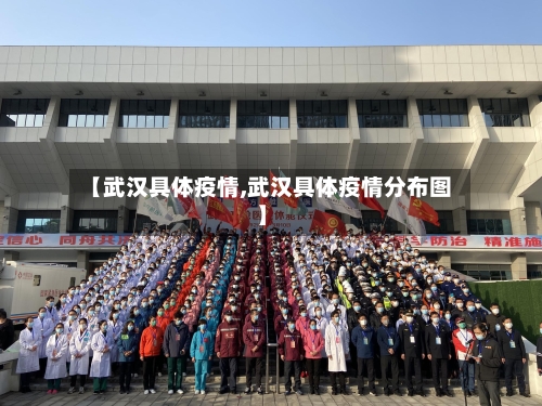 【武汉具体疫情,武汉具体疫情分布图】