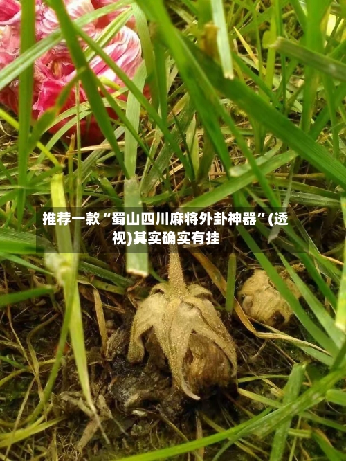 推荐一款“蜀山四川麻将外卦神器”(透视)其实确实有挂-第1张图片