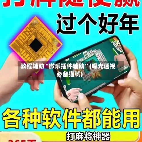 教程辅助“微乐插件辅助”(曝光透视必备猫腻)-第1张图片