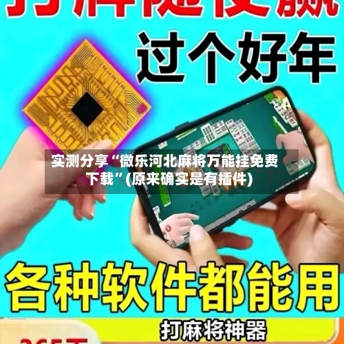 实测分享“微乐河北麻将万能挂免费下载	”(原来确实是有插件)-第2张图片