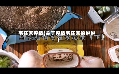 宅在家疫情(关于疫情宅在家的说说)
