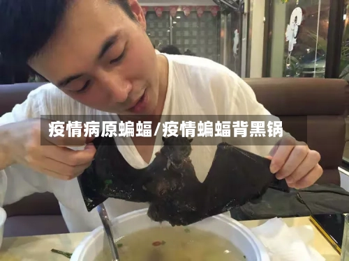 疫情病原蝙蝠/疫情蝙蝠背黑锅