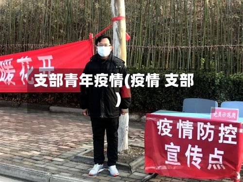 支部青年疫情(疫情 支部)-第1张图片