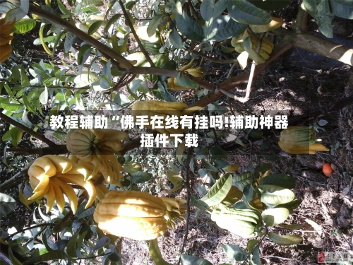 教程辅助“佛手在线有挂吗!辅助神器插件下载-第1张图片