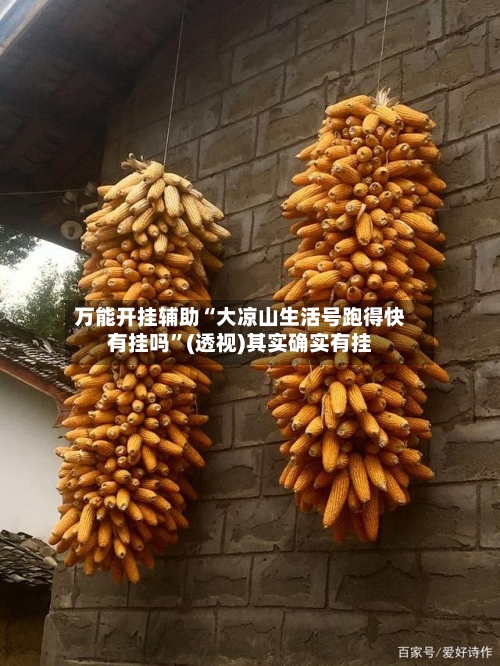 万能开挂辅助“大凉山生活号跑得快有挂吗	”(透视)其实确实有挂-第3张图片
