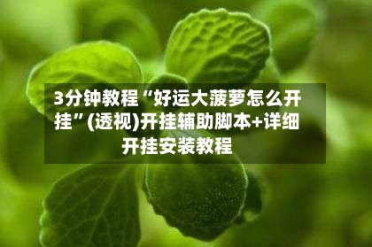 3分钟教程“好运大菠萝怎么开挂”(透视)开挂辅助脚本+详细开挂安装教程