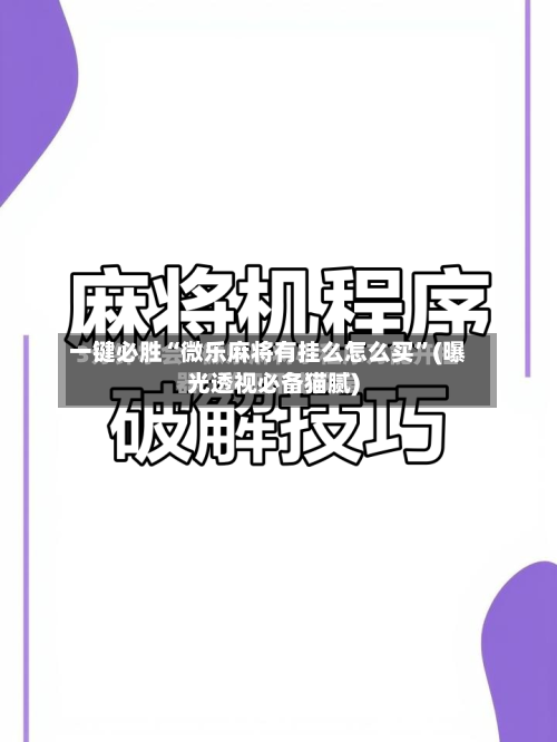 一键必胜“微乐麻将有挂么怎么买”(曝光透视必备猫腻)