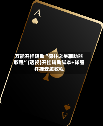 万能开挂辅助“德扑之星辅助器教程”(透视)开挂辅助脚本+详细开挂安装教程