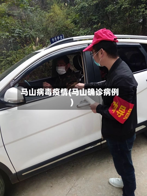 马山病毒疫情(马山确诊病例)