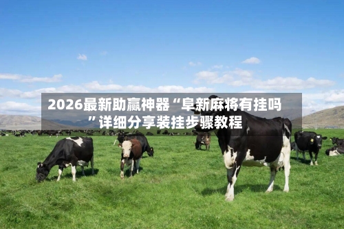 2026最新助赢神器“阜新麻将有挂吗”详细分享装挂步骤教程