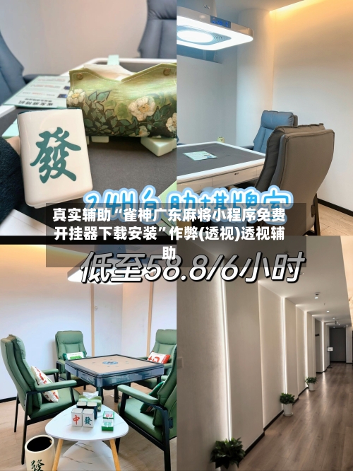 真实辅助“雀神广东麻将小程序免费开挂器下载安装”作弊(透视)透视辅助-第1张图片