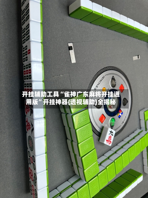 开挂辅助工具“雀神广东麻将开挂通用版”开挂神器{透视辅助}全揭秘-第2张图片