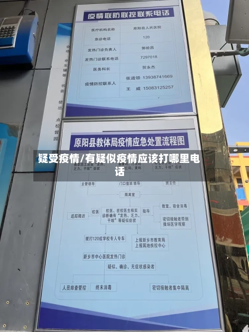 疑受疫情/有疑似疫情应该打哪里电话