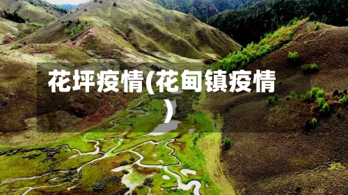 花坪疫情(花甸镇疫情)