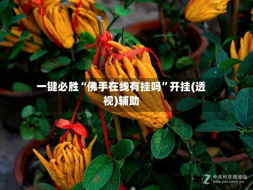 一键必胜“佛手在线有挂吗”开挂(透视)辅助-第2张图片