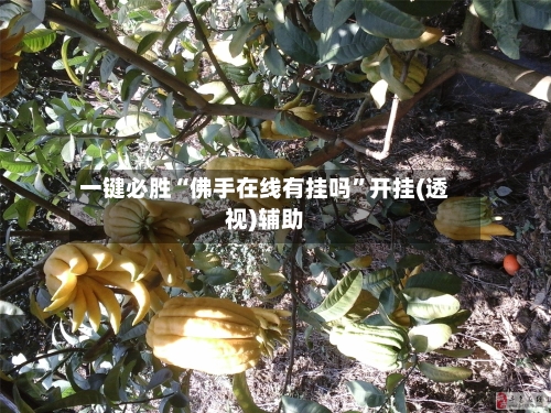 一键必胜“佛手在线有挂吗”开挂(透视)辅助