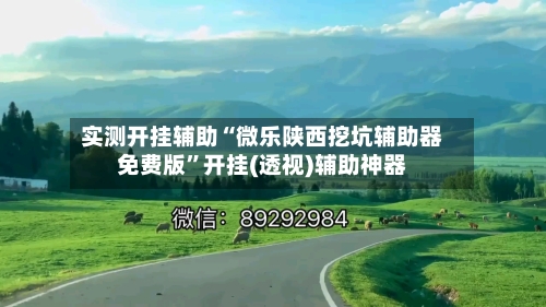 实测开挂辅助“微乐陕西挖坑辅助器免费版”开挂(透视)辅助神器