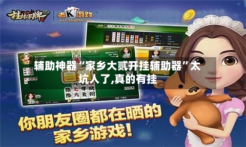 辅助神器“家乡大贰开挂辅助器”太坑人了,真的有挂
