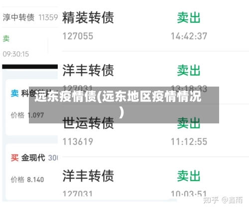 远东疫情债(远东地区疫情情况)-第1张图片