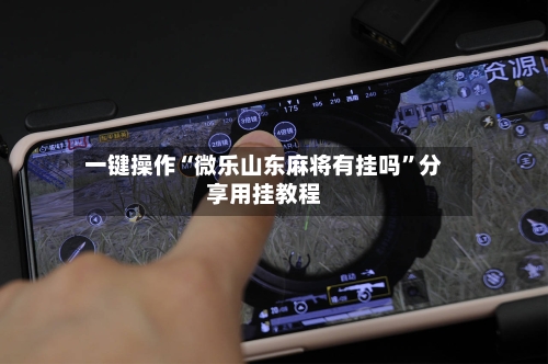一键操作“微乐山东麻将有挂吗”分享用挂教程