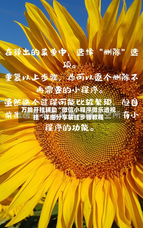 万能开挂辅助“微信小程序微乐透视挂”详细分享装挂步骤教程