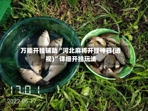 万能开挂辅助“河北麻将开挂神器(透视)”详细开挂玩法