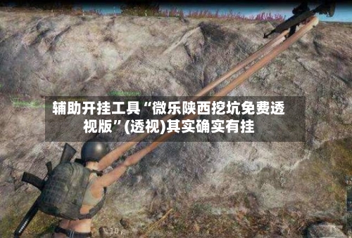 辅助开挂工具“微乐陕西挖坑免费透视版”(透视)其实确实有挂