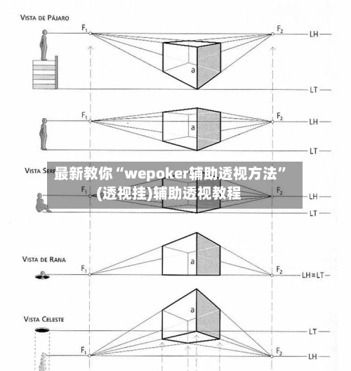 最新教你“wepoker辅助透视方法”(透视挂)辅助透视教程