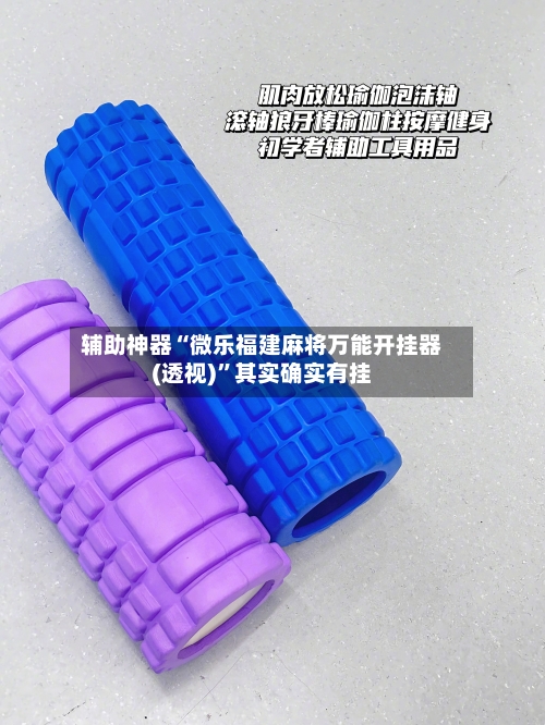辅助神器“微乐福建麻将万能开挂器(透视)”其实确实有挂